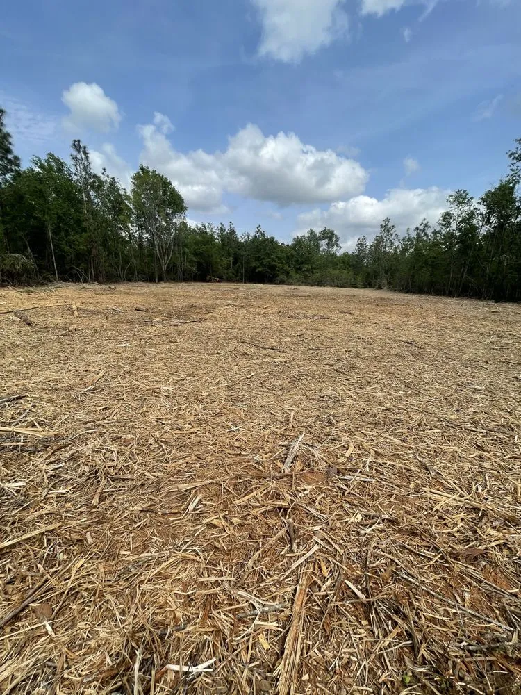 Top-rated lawn care service experts serving Cantonment, FL - Premier Landworks