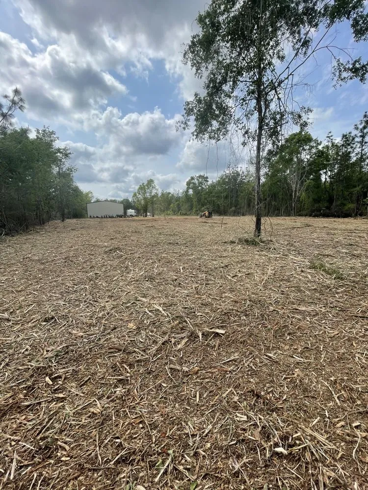 Local landscape installation near you in Cantonment, FL by Premier Landworks