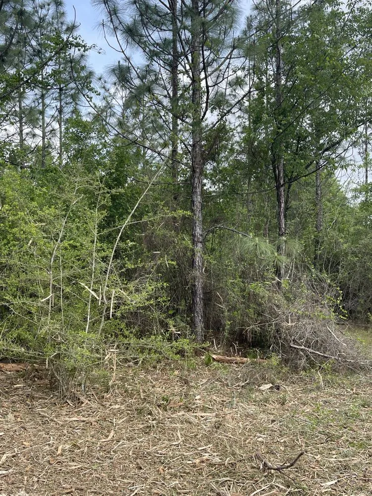 Expert outdoor landscaping for year-round maintenance in Cantonment, FL by Premier Landworks