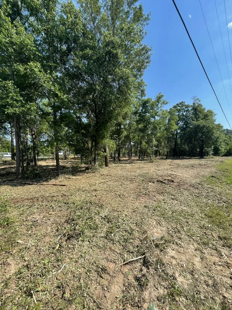 Affordable yard maintenance for beautiful yards across Cantonment, FL - Premier Landworks