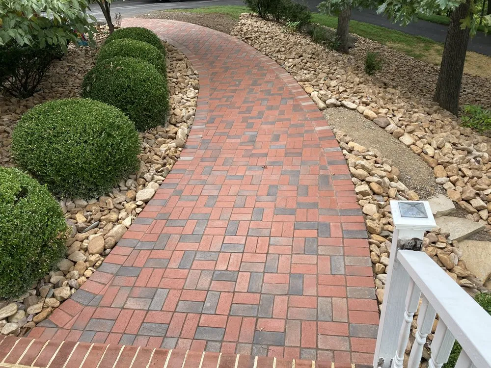 Reliable yard cleanup service in Jacksonville, NC by Premier Lawn & Construction