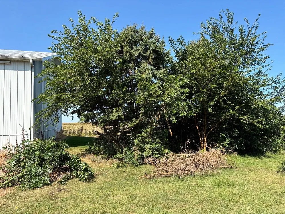 Local landscaping services for outdoor upgrades across Ogden, IL - Premier Lawn & Land