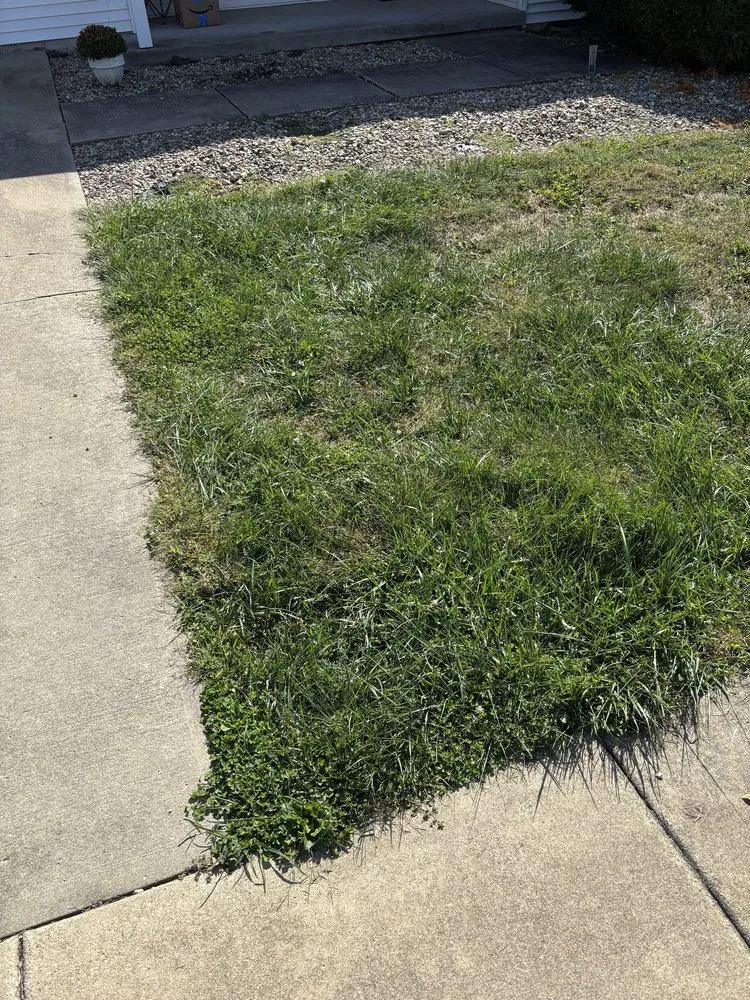 Local residential landscaping for year-round maintenance in Ogden, IL by Premier Lawn & Land