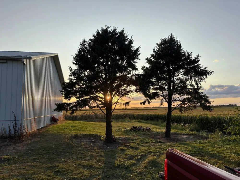Local landscape design for year-round maintenance across Ogden, IL - Premier Lawn & Land