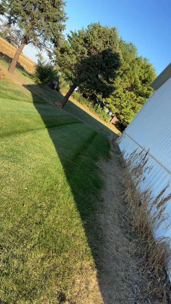 Local landscape design for year-round maintenance in Ogden, IL by Premier Lawn & Land
