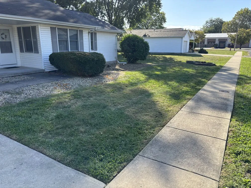 Trusted yard cleanup service for beautiful yards across Ogden, IL - Premier Lawn & Land
