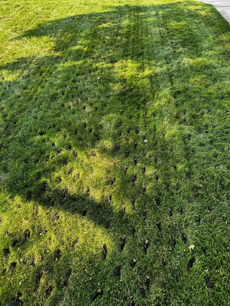 Local lawn mowing service in Kronenwetter, WI by Premier Lawn & Landscape