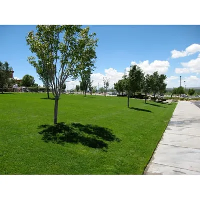 Premier Lawn & Landscaping Logo