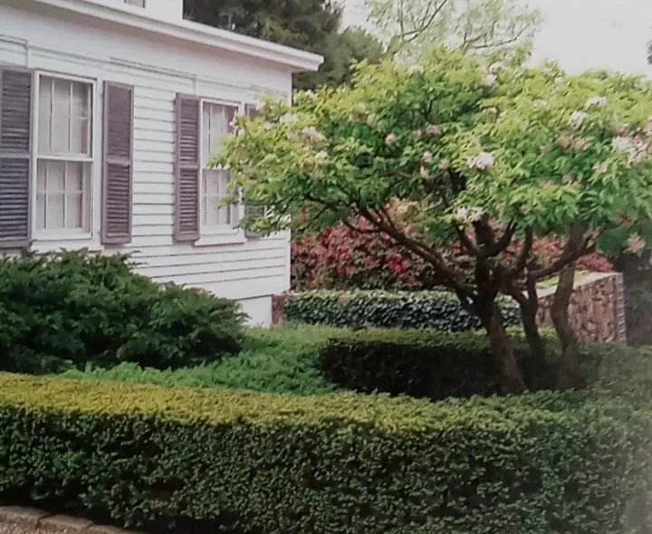 Expert landscaping services in Burlington, WI - Premier Lawn & Landscaping Services