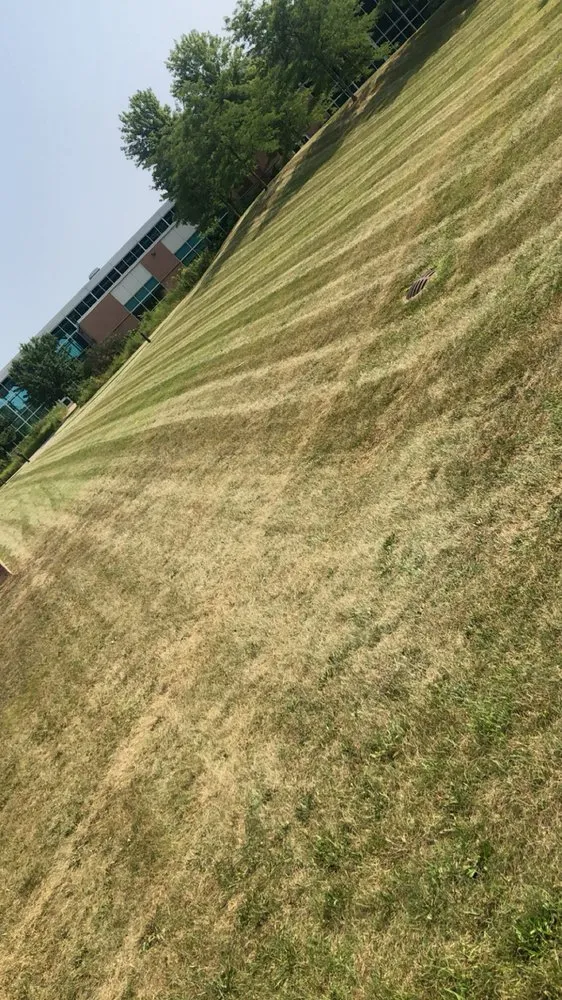 Trusted landscaping services in Richland, MI by Premier Lawn & Snow