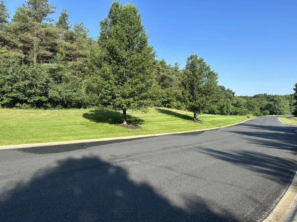 Top-rated landscaping services for beautiful yards across Richland, MI - Premier Lawn & Snow