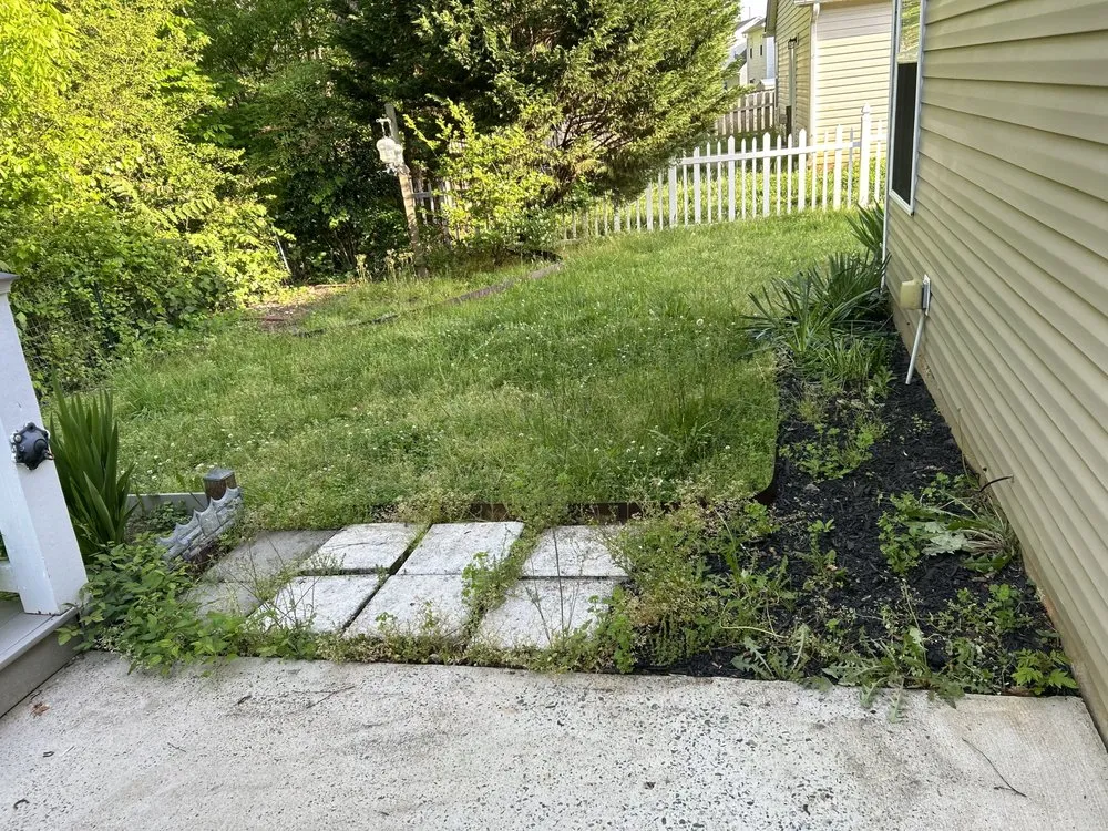 Affordable lawn mowing service in Charlotte, NC - Premier Lawn and Garden