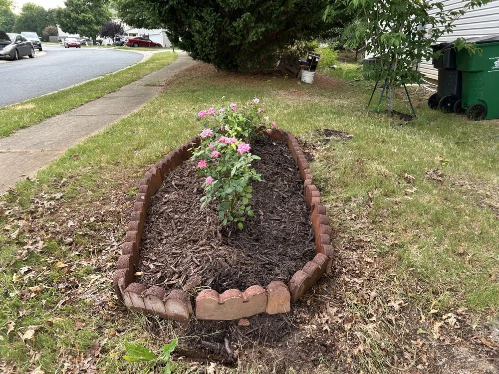 Custom landscape installation for year-round maintenance in Charlotte, NC by Premier Lawn and Garden
