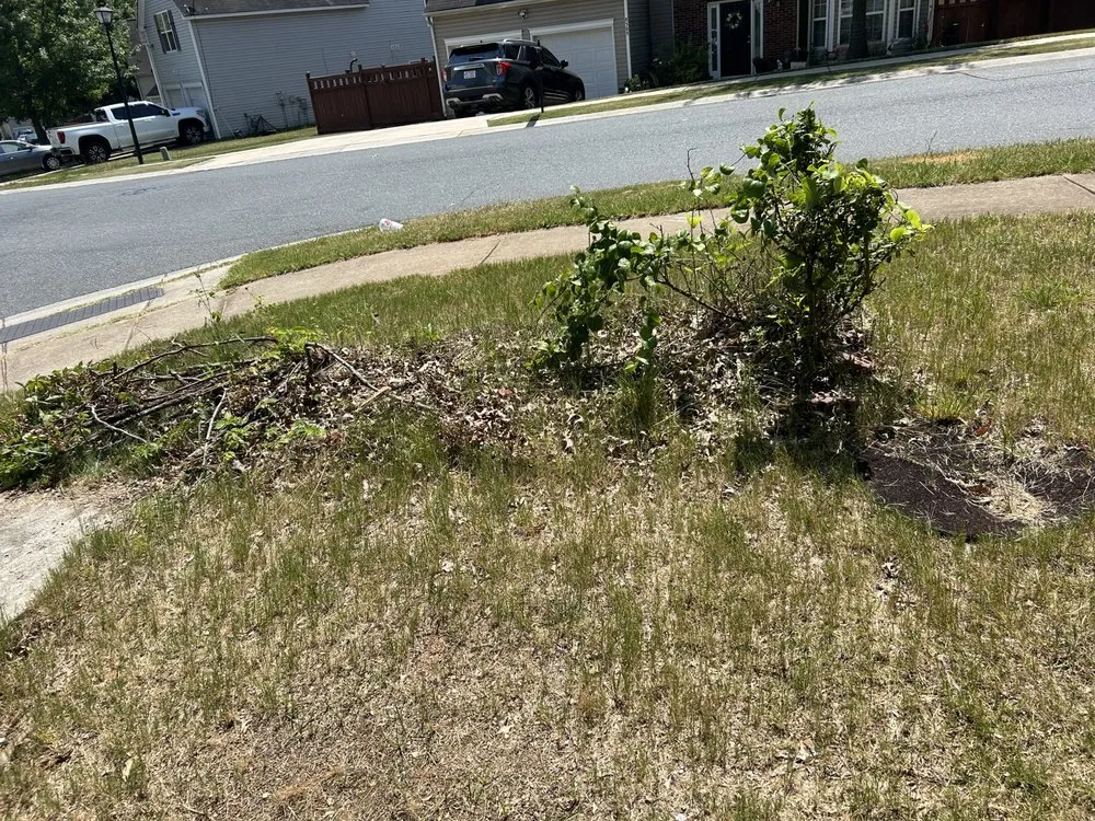 Expert lawn mowing service experts serving Charlotte, NC - Premier Lawn and Garden