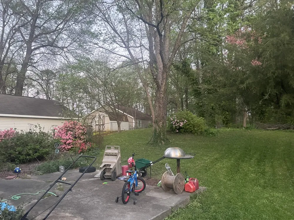 Reliable garden landscaping for outdoor upgrades in Charlotte, NC by Premier Lawn and Garden