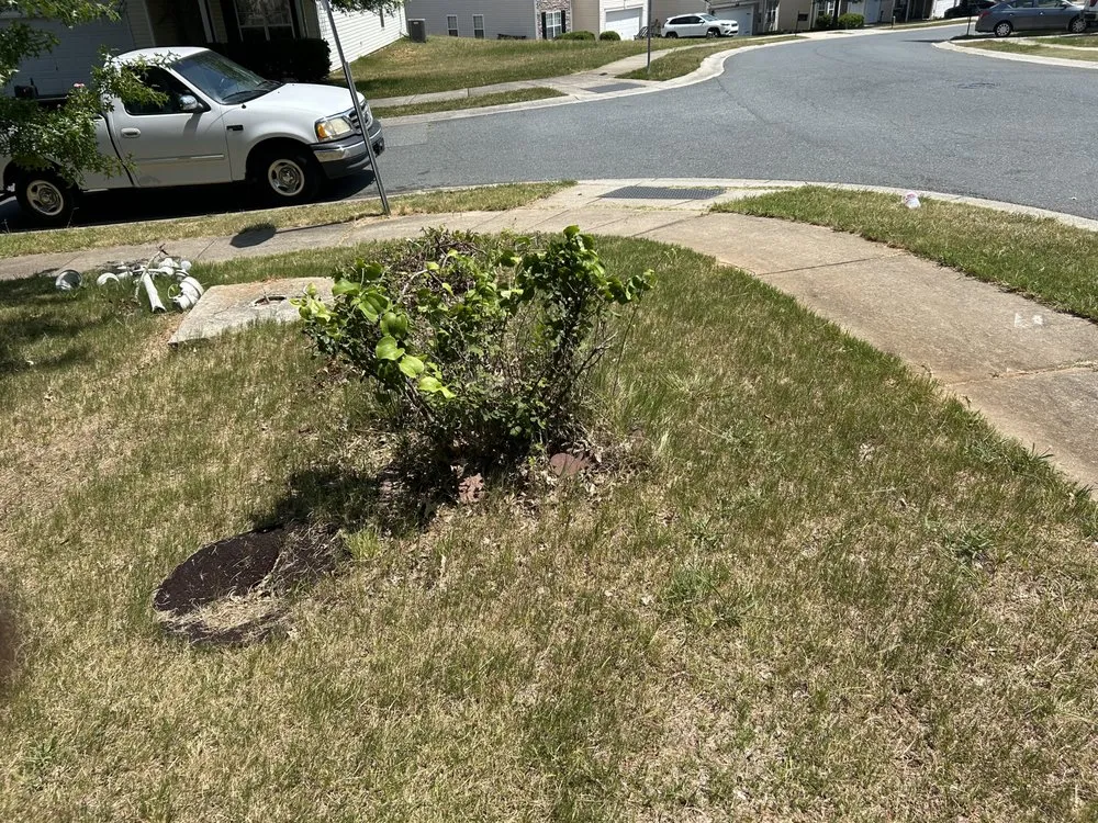 Local landscape installation experts serving Charlotte, NC - Premier Lawn and Garden