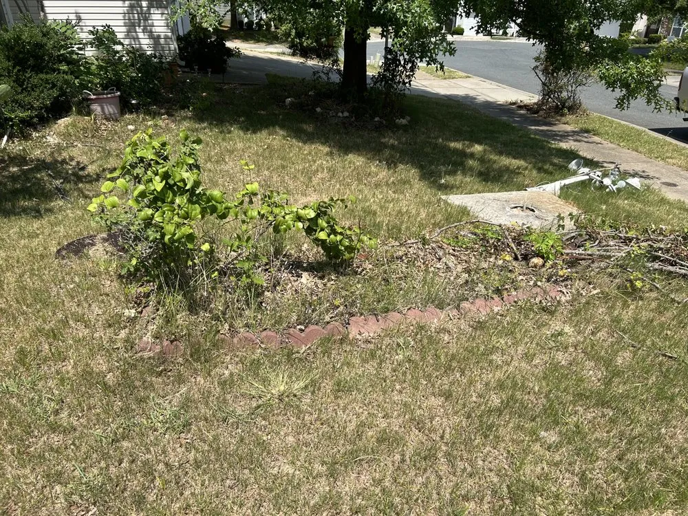 Affordable residential landscaping in Charlotte, NC by Premier Lawn and Garden