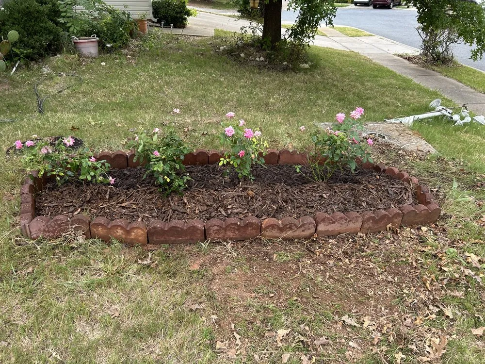 Trusted landscape design for year-round maintenance in Charlotte, NC by Premier Lawn and Garden