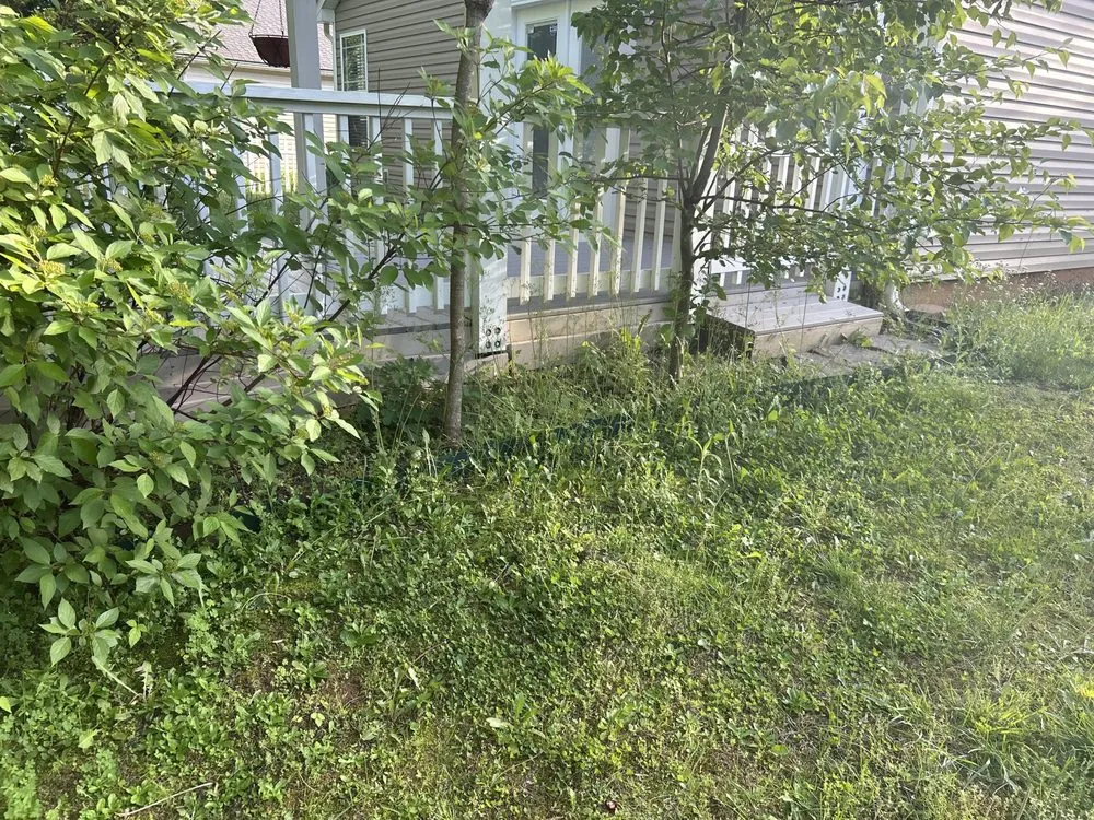 Affordable residential landscaping for outdoor upgrades in Charlotte, NC by Premier Lawn and Garden