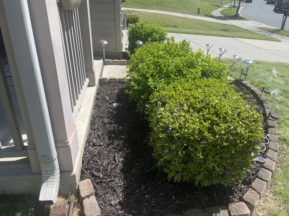 Reliable outdoor landscaping experts serving Charlotte, NC - Premier Lawn and Garden