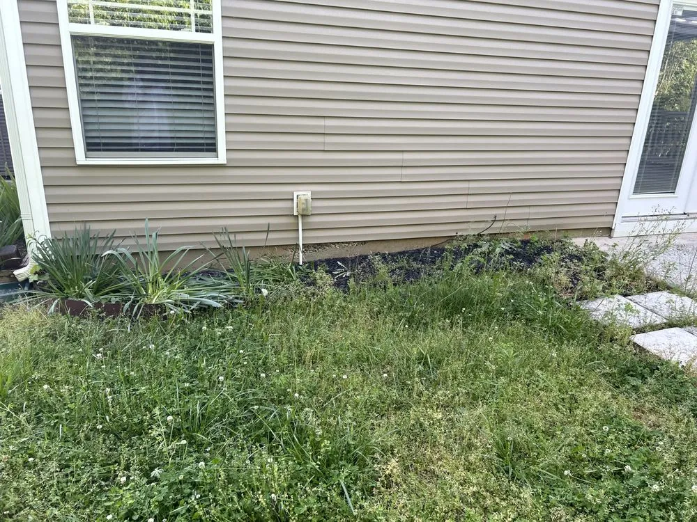 Trusted lawn care service in Charlotte, NC by Premier Lawn and Garden