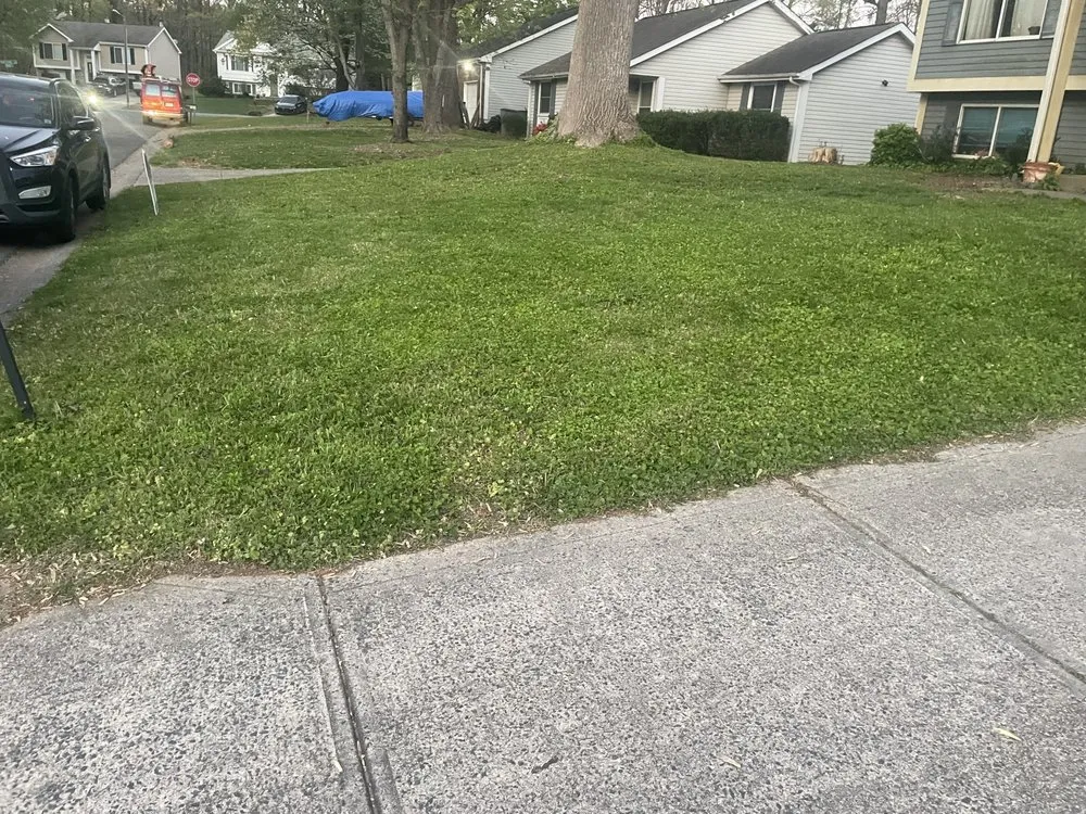 Custom yard maintenance in Charlotte, NC - Premier Lawn and Garden