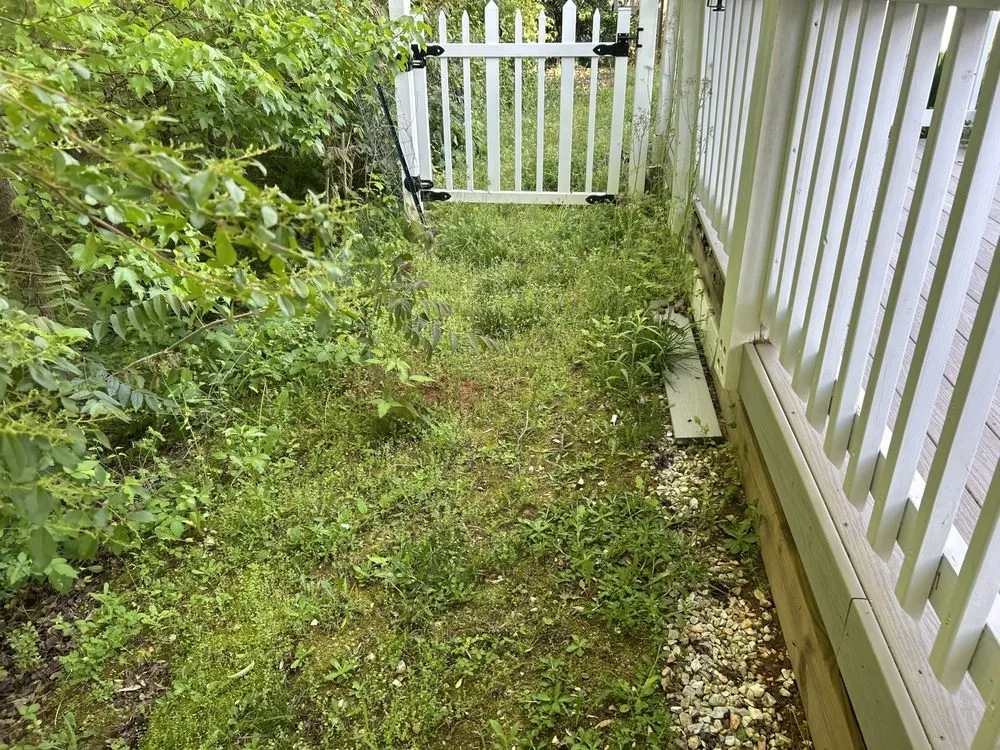 Local lawn care service experts serving Charlotte, NC - Premier Lawn and Garden