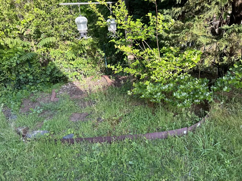 Trusted lawn mowing service for beautiful yards across Charlotte, NC - Premier Lawn and Garden