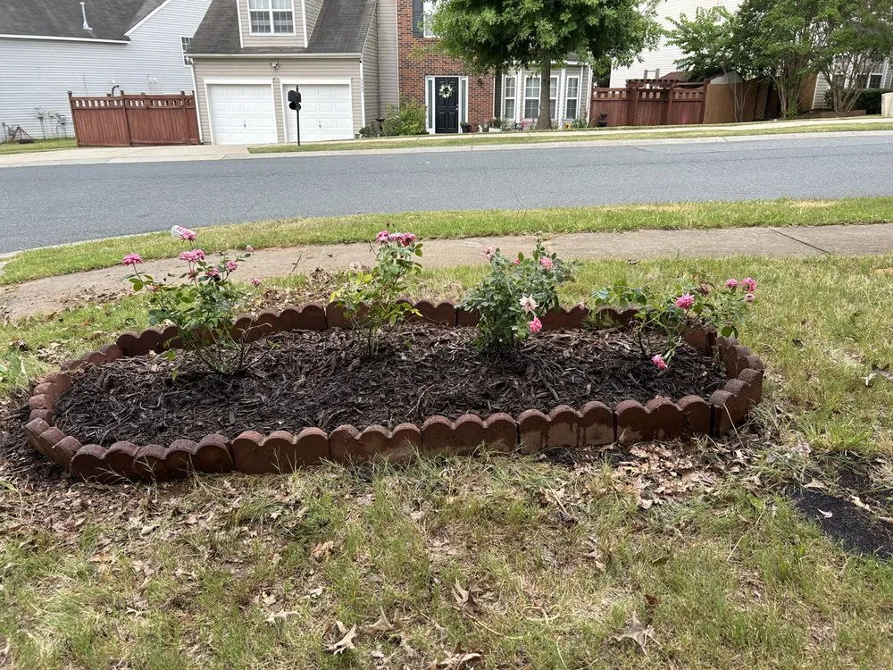 Professional residential landscaping for beautiful yards in Charlotte, NC by Premier Lawn and Garden