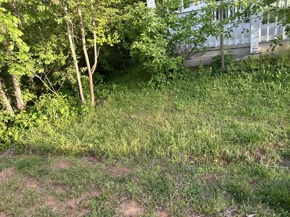 Professional garden landscaping near you in Charlotte, NC by Premier Lawn and Garden