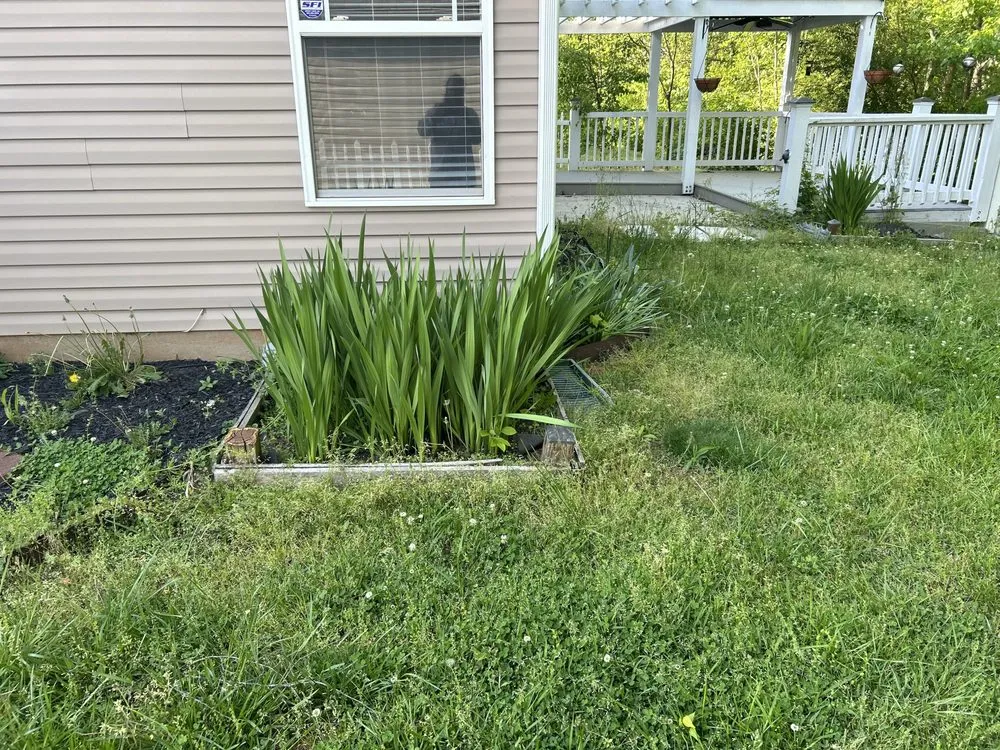 Top-rated landscape installation in Charlotte, NC - Premier Lawn and Garden