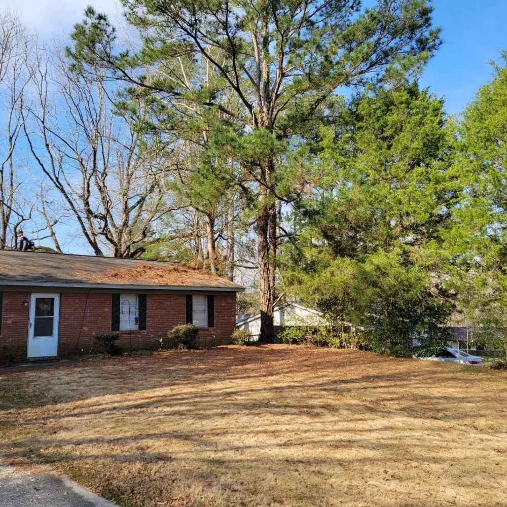 Affordable landscaping services with custom design across Columbus, GA - Premier Lawn and Landscape