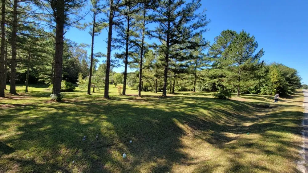 Top-rated landscape design in Columbus, GA - Premier Lawn and Landscape