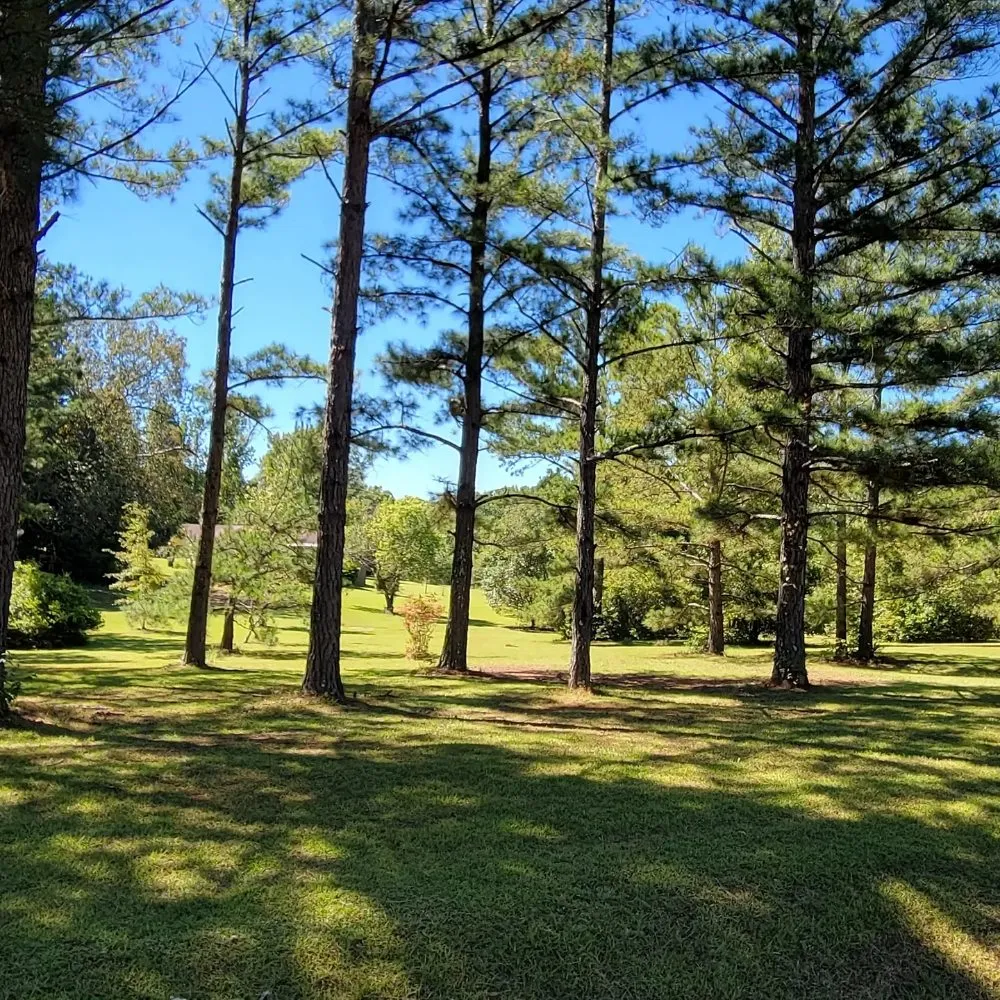 Expert lawn care service near you in Columbus, GA by Premier Lawn and Landscape