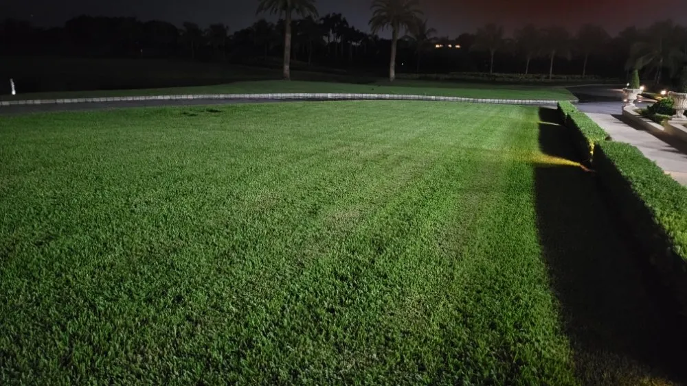 Professional outdoor landscaping for year-round maintenance across Columbus, GA - Premier Lawn and Landscape