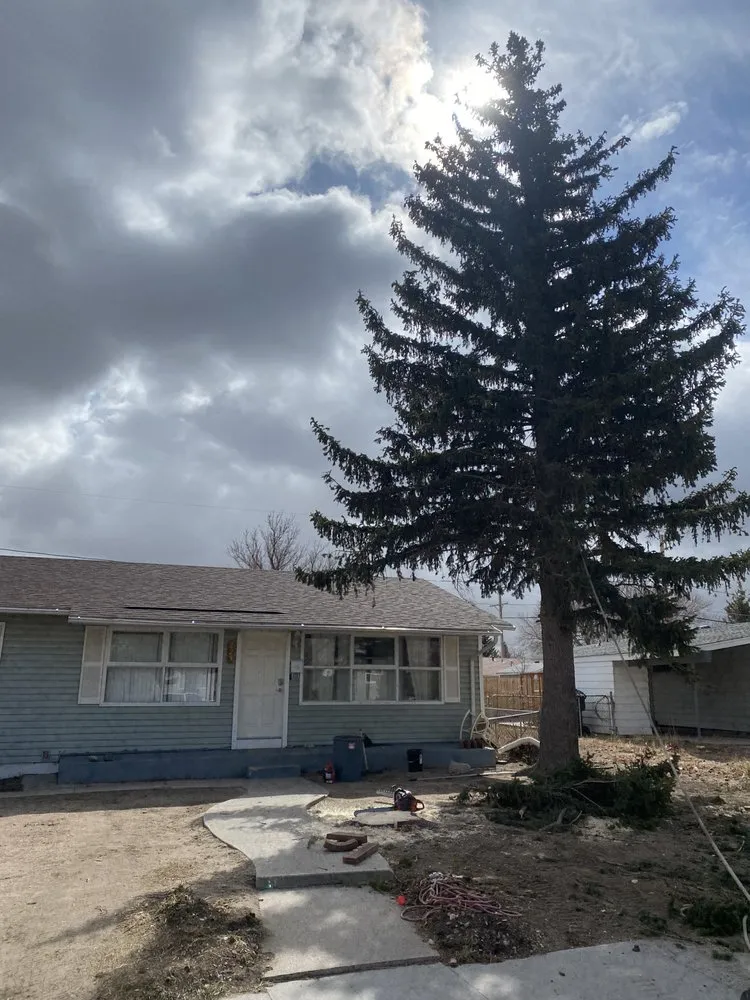 Top-rated outdoor landscaping for residential properties across Cheyenne, WY - Premier Lawn And Tree Care