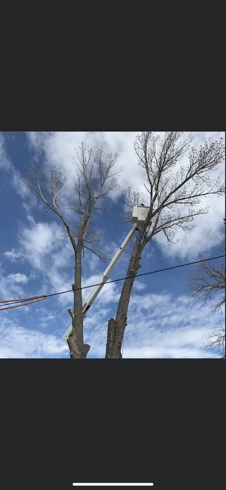 Reliable landscape design in Cheyenne, WY by Premier Lawn And Tree Care