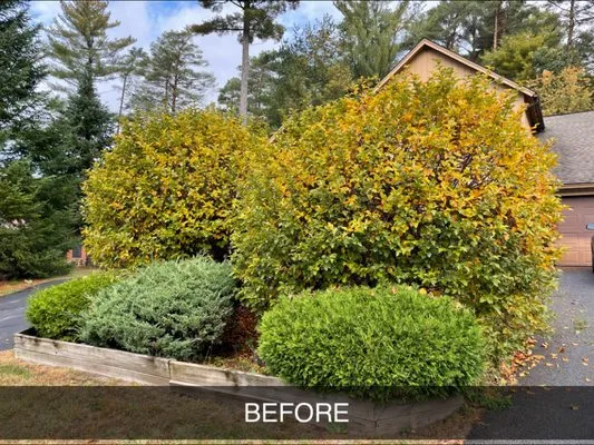 Premier Lawn Care & Landscaping