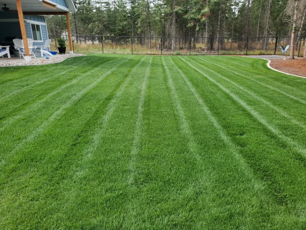 Reliable yard cleanup service for residential properties across Spirit Lake, ID - Premier Lawn Care & Landscaping