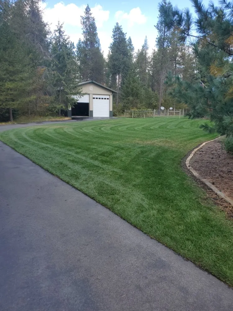 Local yard cleanup service in Spirit Lake, ID - Premier Lawn Care & Landscaping