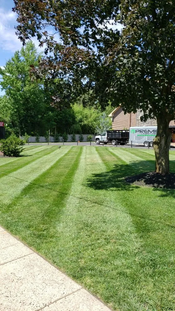 Expert lawn care service for homes across Beverly, NJ - Premier Lawn Care