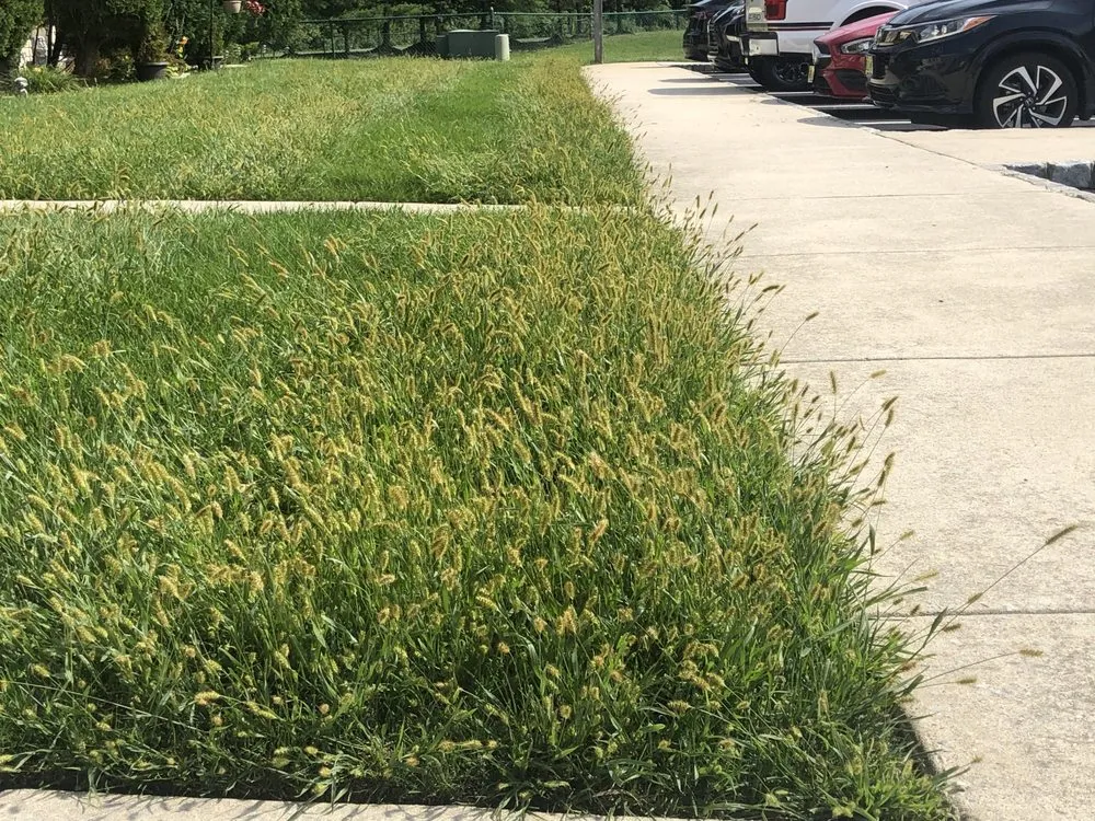 Expert yard maintenance for residential properties in Beverly, NJ by Premier Lawn Care