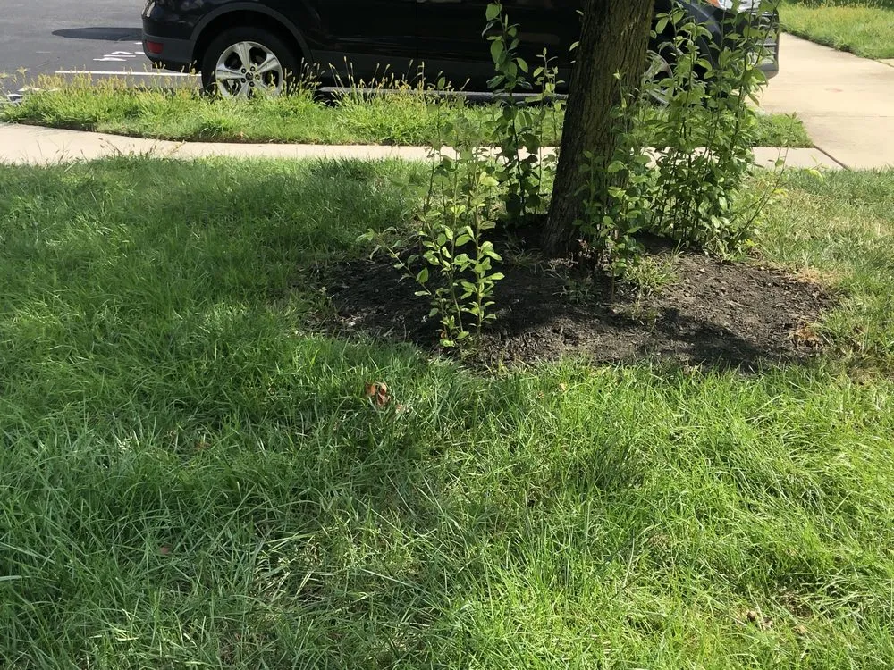 Custom landscaping services experts serving Beverly, NJ - Premier Lawn Care