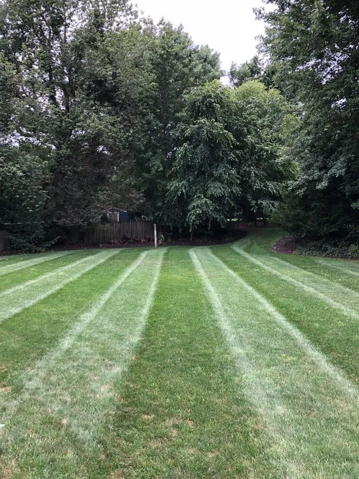 Local outdoor landscaping in Beverly, NJ by Premier Lawn Care
