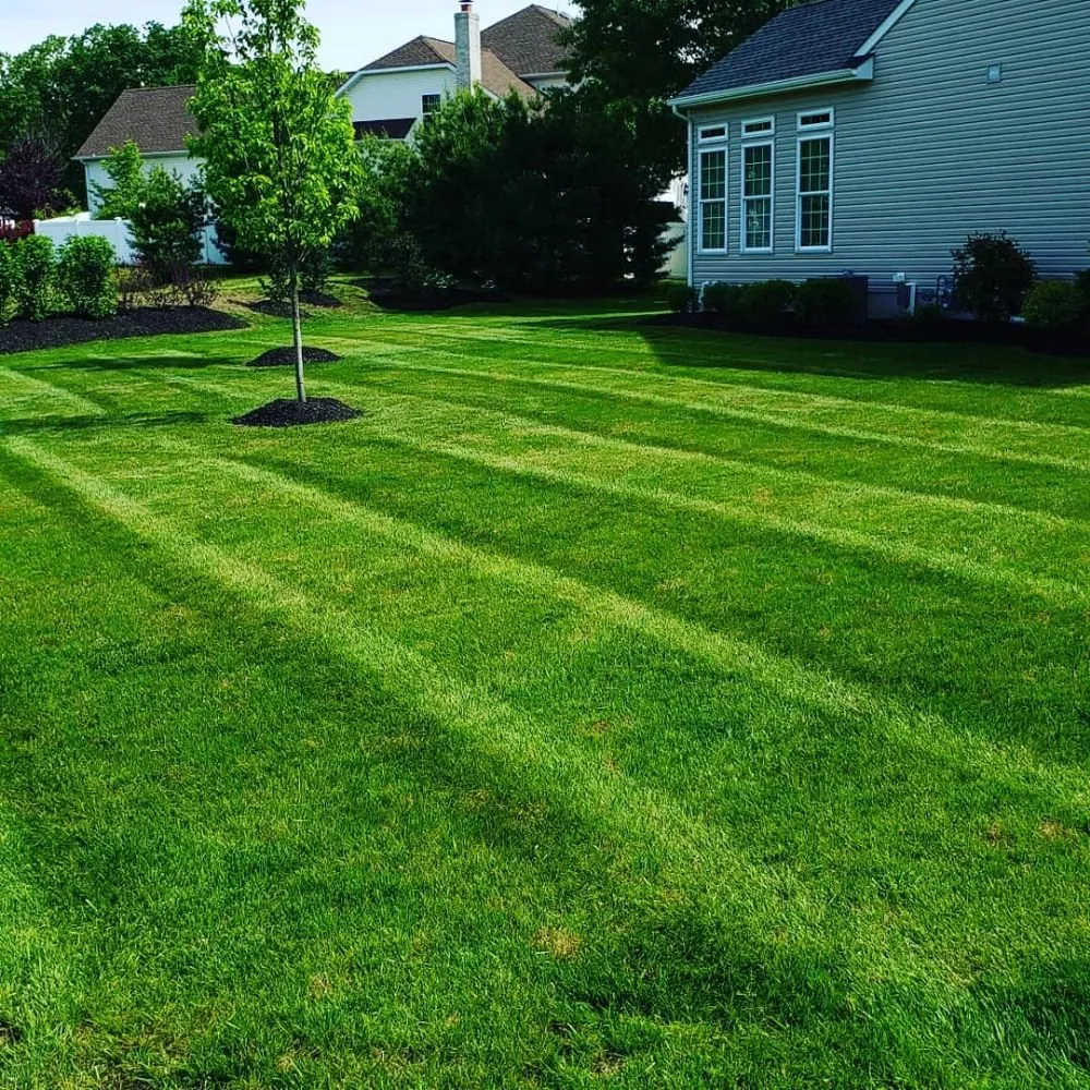 Professional yard maintenance experts serving Beverly, NJ - Premier Lawn Care