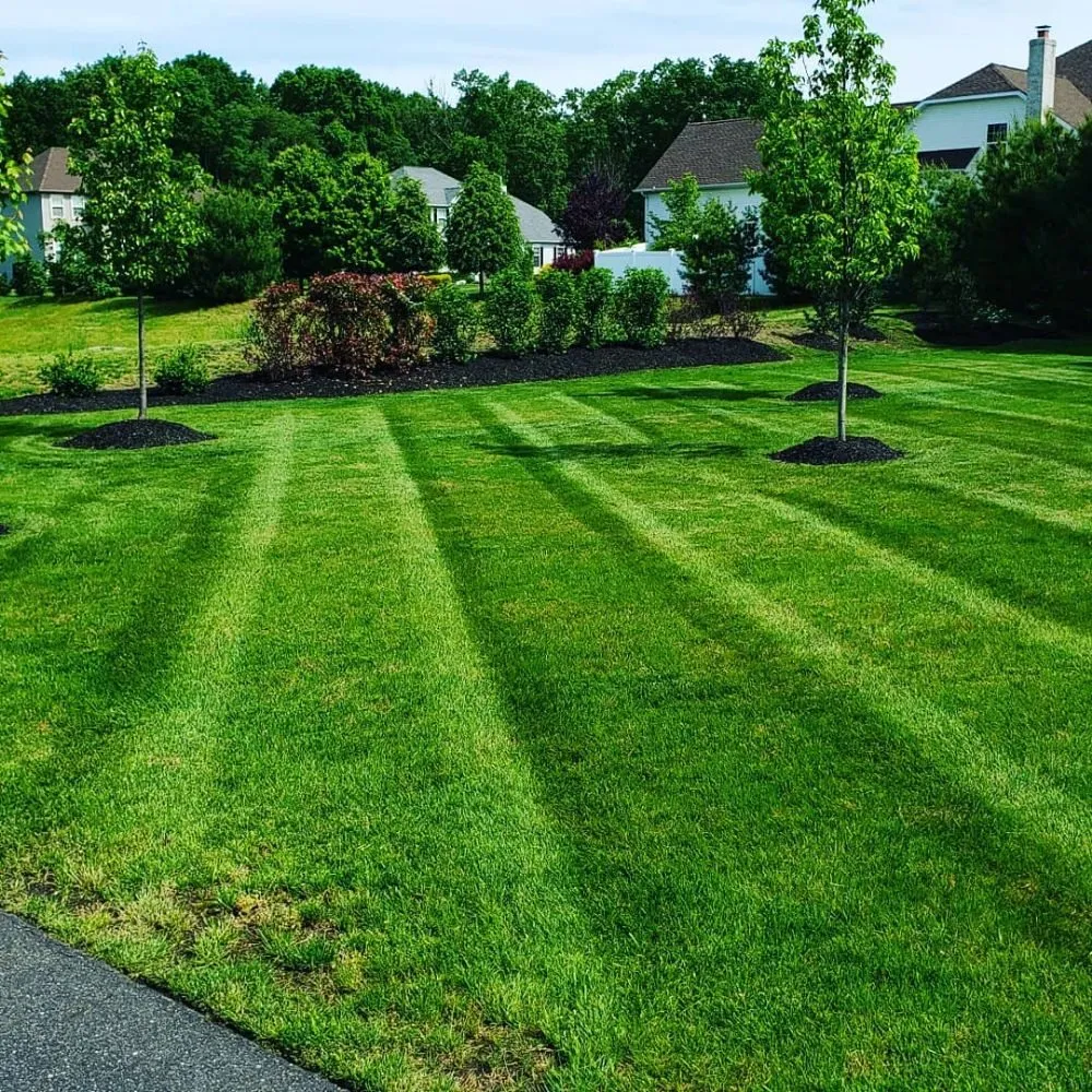 Reliable lawn mowing service in Beverly, NJ by Premier Lawn Care