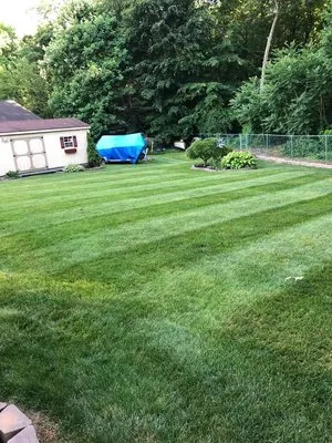 Premier Lawn Care