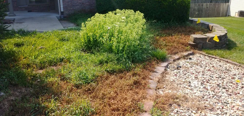 Trusted lawn mowing service in Columbia, MO by Premier Lawn Care