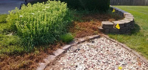 Premier Lawn Care Logo