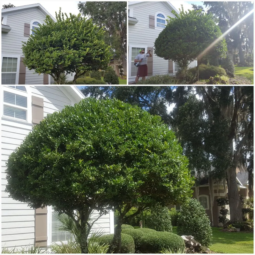 Top-rated lawn care service in High Springs, FL by Premier Lawn Care